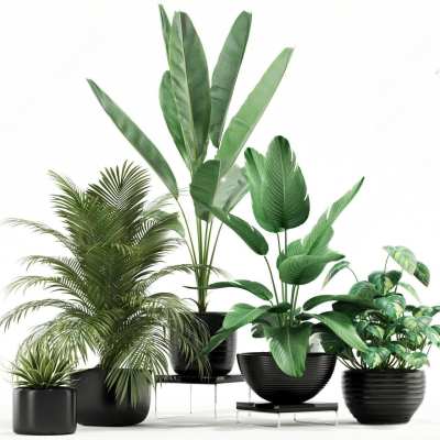 现代绿植盆栽3D模型下载